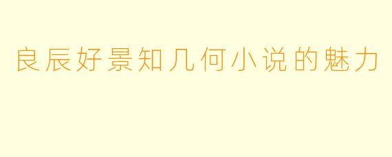 良辰好景知几何小说的魅力