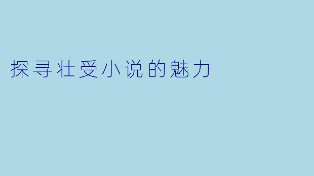 探寻壮受小说的魅力