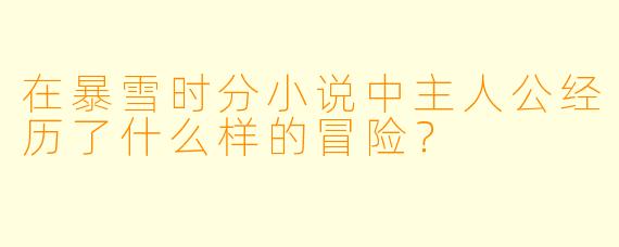 在暴雪时分小说中主人公经历了什么样的冒险？