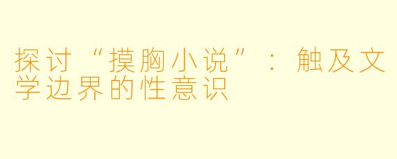 探讨“摸胸小说”：触及文学边界的性意识