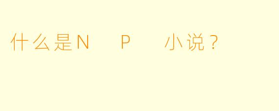 什么是N P 小说？