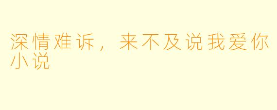 深情难诉，来不及说我爱你小说