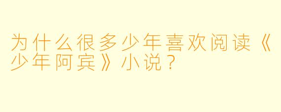 为什么很多少年喜欢阅读《少年阿宾》小说？
