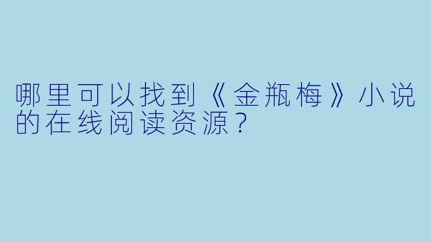 哪里可以找到《金瓶梅》小说的在线阅读资源？