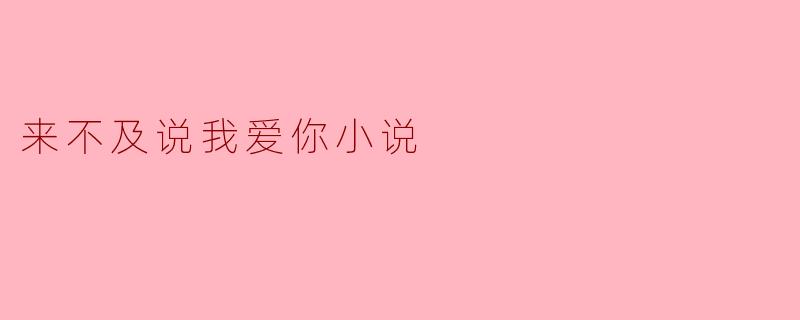 来不及说我爱你小说