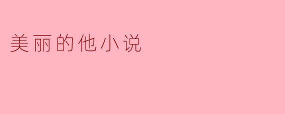 美丽的他小说
