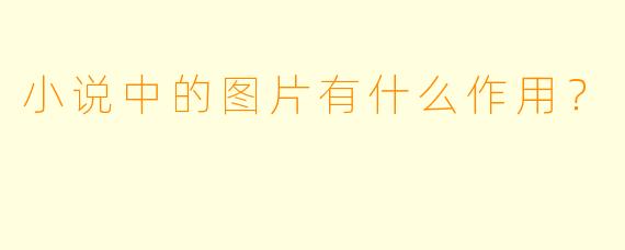 小说中的图片有什么作用？  