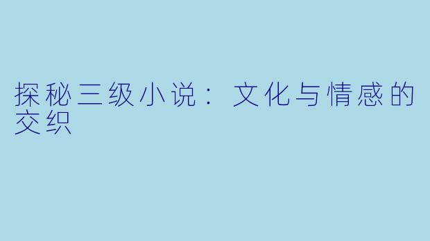 探秘三级小说：文化与情感的交织
