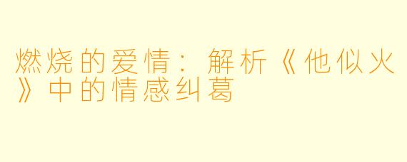 燃烧的爱情：解析《他似火》中的情感纠葛