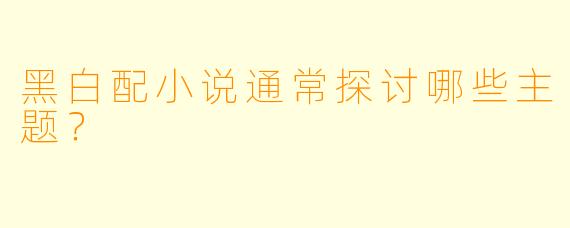 黑白配小说通常探讨哪些主题？