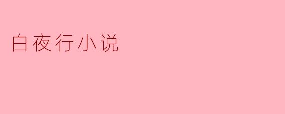 白夜行小说