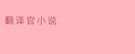翻译官小说