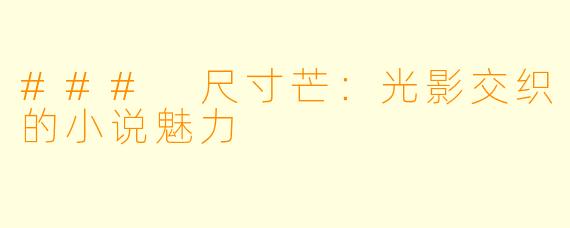 ### 尺寸芒：光影交织的小说魅力