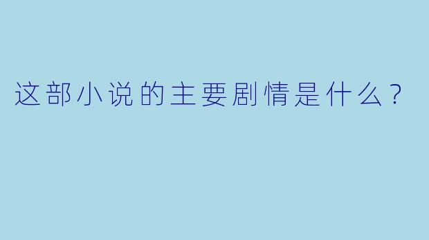 这部小说的主要剧情是什么？