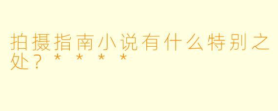 拍摄指南小说有什么特别之处?****