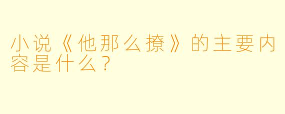小说《他那么撩》的主要内容是什么?