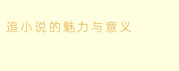 追小说的魅力与意义