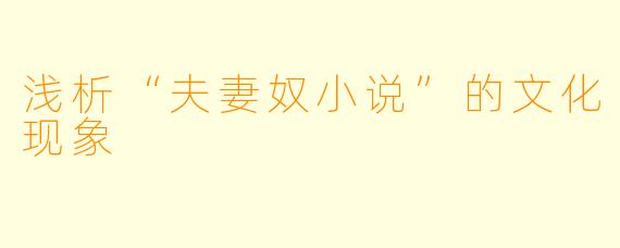 浅析“夫妻奴小说”的文化现象