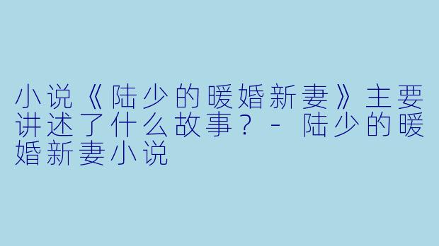 小说《陆少的暖婚新妻》主要讲述了什么故事?