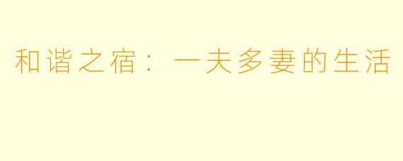 和谐之宿：一夫多妻的生活