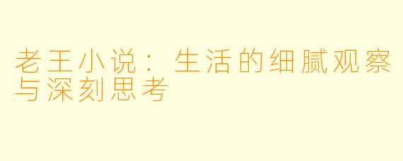 老王小说：生活的细腻观察与深刻思考