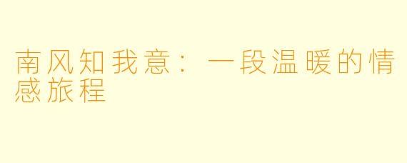 南风知我意：一段温暖的情感旅程