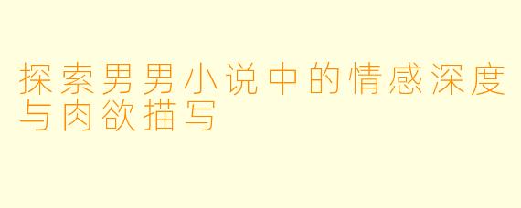 探索男男小说中的情感深度与肉欲描写