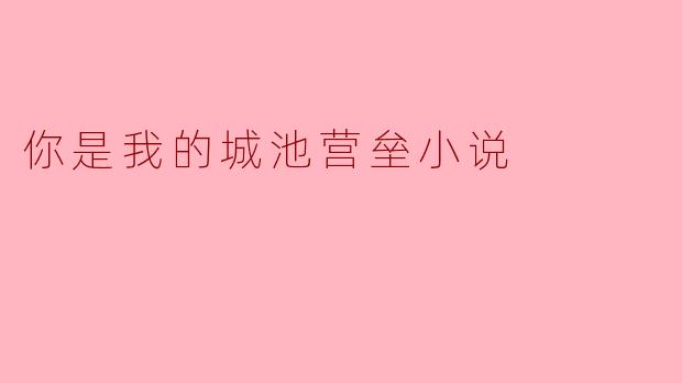 探寻坚守与守护的爱情——《你是我的城池营垒》