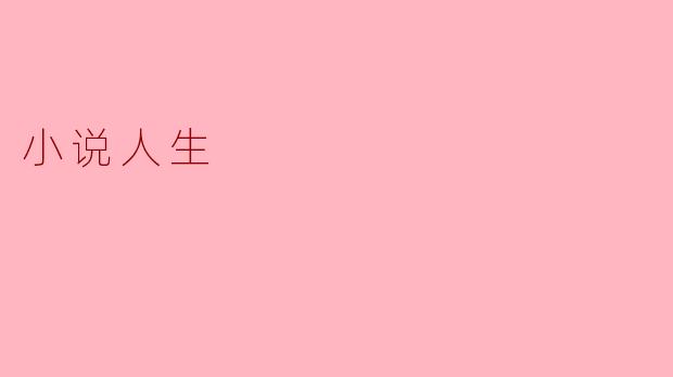 小说人生