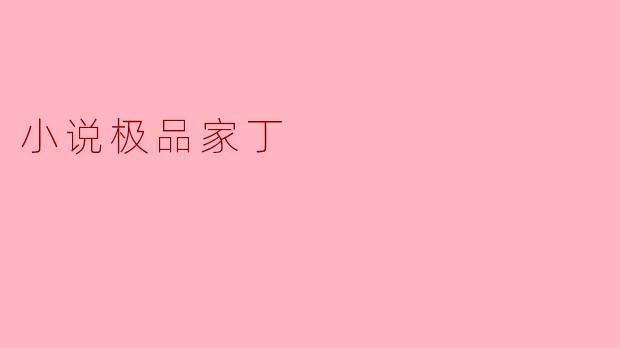 小说极品家丁