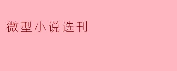 微型小说选刊