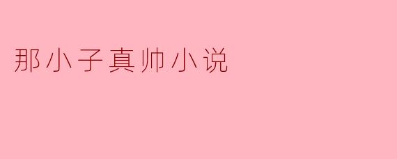那小子真帅小说