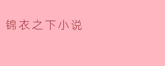 锦衣之下小说