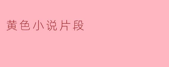 黄色小说片段