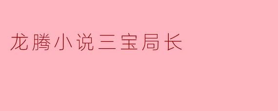 龙腾小说三宝局长
