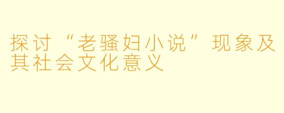 探讨“老骚妇小说”现象及其社会文化意义