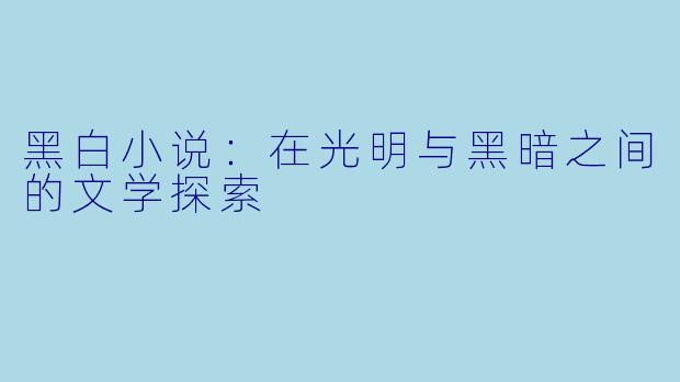 黑白小说：在光明与黑暗之间的文学探索