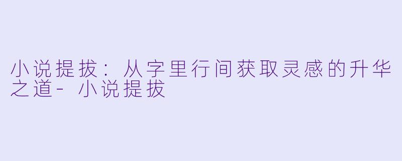 小说提拔：从字里行间获取灵感的升华之道-小说提拔