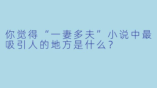 你觉得“一妻多夫”小说中最吸引人的地方是什么?