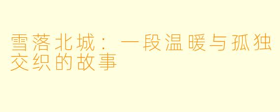 雪落北城：一段温暖与孤独交织的故事