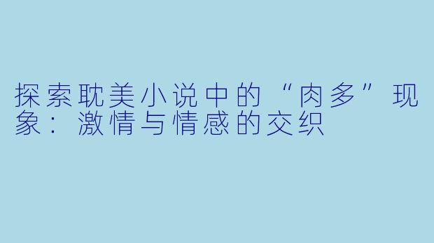 探索耽美小说中的“肉多”现象：激情与情感的交织