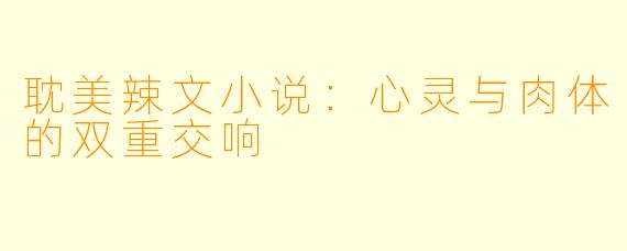 耽美辣文小说：心灵与肉体的双重交响