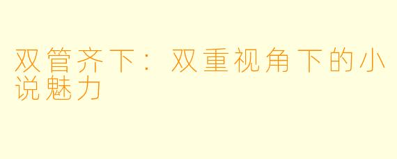 双管齐下:双重视角下的小说魅力