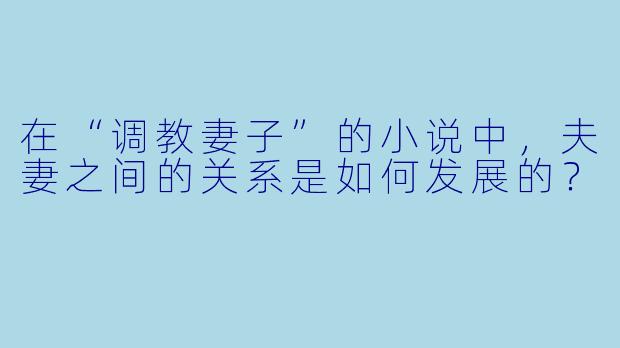 在“调教妻子”的小说中,夫妻之间的关系是如何发展的?