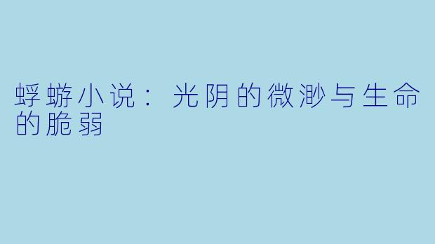 蜉蝣小说：光阴的微渺与生命的脆弱