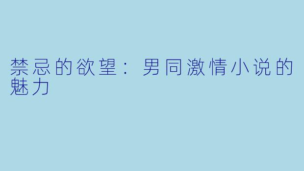 禁忌的欲望：男同激情小说的魅力