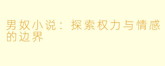 男奴小说：探索权力与情感的边界