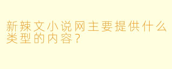 新辣文小说网主要提供什么类型的内容？