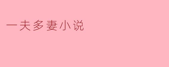 一夫多妻小说