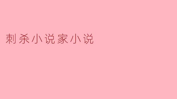 刺杀小说家小说